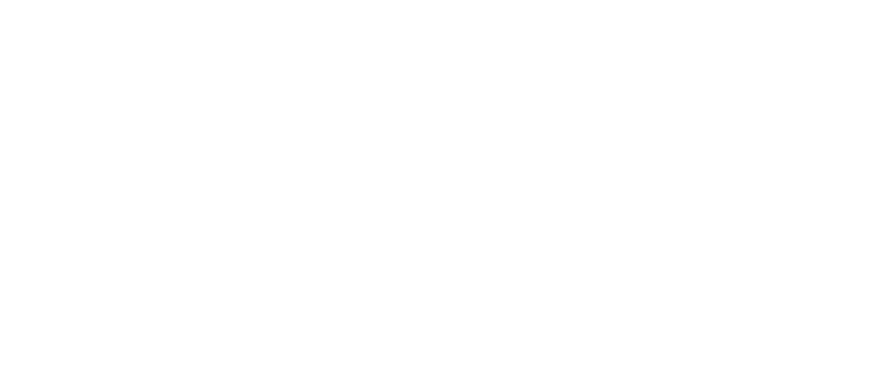 SeeMobil Personenbeförderung